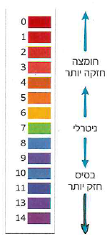 (בספר תמונה, היעזר במנחה)